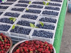 -南坛综合农贸市场