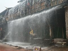-北京呀路古热带植物园