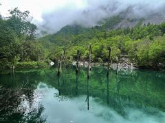 -叠溪松坪沟景区