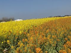 -中国天府农业博览园