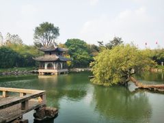 -水绘园