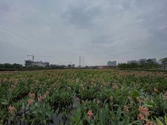 -那考河湿地公园