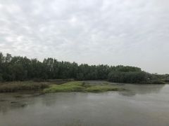 -大湾区中央湿地公园