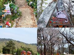 -沂蒙山旅游区云蒙景区(蒙山国家森林公园)