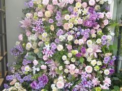 -FEI FEI FLOWER鲜花店·气球派对·宝宝宴布置(虹口德必运动Loft店)