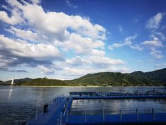 -酒仙湖景区