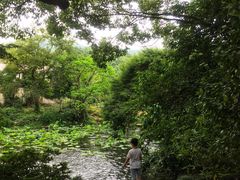 -中国茶叶博物馆(双峰馆区)