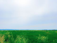 -敕勒川草原