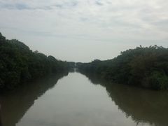 -大湾区中央湿地公园