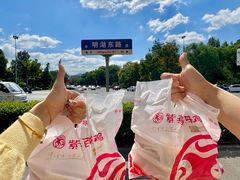 -紫燕百味鸡(明湖店)