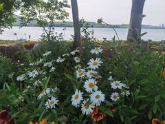 -石湖景区