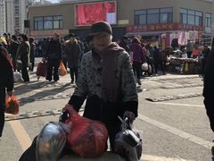 -李村大集