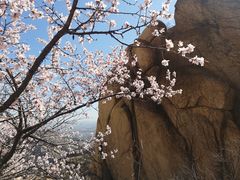 -北京凤凰岭
