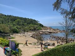 -广东惠东海龟国家级自然保护区