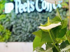 -Peet's Coffee皮爷咖啡(德基店)