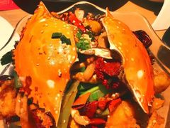 -胡桃里音乐酒馆(石家庄店)