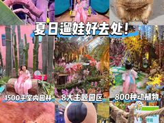 -正佳雨林生态植物园