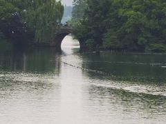 -湖畔居茶楼(湖滨店)