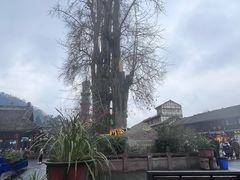 -崇州市街子古镇