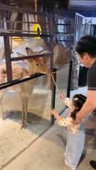 -酷嗒动物文化乐园(cutezoo西溪乐天城店)