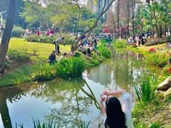 -人民公园(罗湖区)