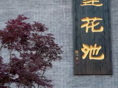 -莲花池公园
