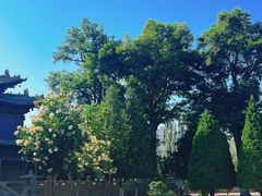 -张掖大佛寺景区