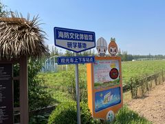 -上海长兴岛郊野公园