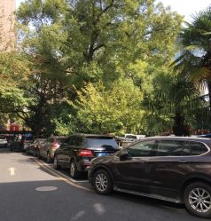 -上海市儿童医院(北京西路院区)