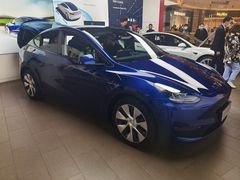 -TESLA 特斯拉(郑州正弘城体验店)