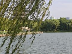 -济南大明湖景区