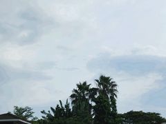 -惠和石文化园
