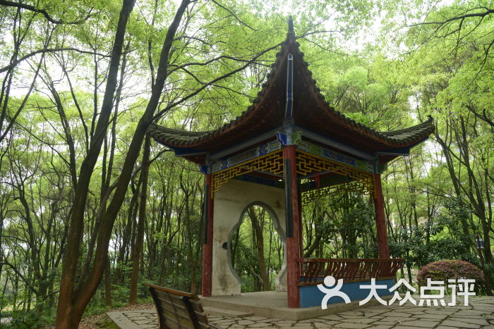 抱石公園圖片 - 第47張