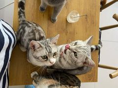 -平行世界·猫咖(首经贸店)