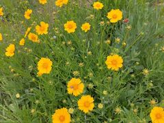 -汉长安城未央宫国家考古遗址公园