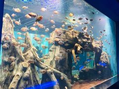 -石家庄海洋公园