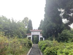 -江西阳明山国家森林公园