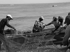 -尼甘布海鲜市场