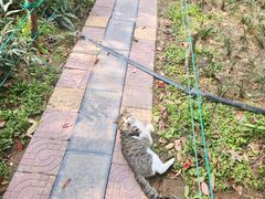 -河南省黄河迎宾馆