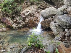 -大连天门山国家森林公园
