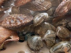 -港畔赶海蒸汽海鲜烧烤自助(仙螺岛店)