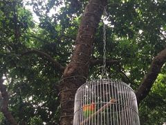 -JUKEBOX玖部音乐餐厅(华侨城店)