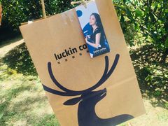 纸袋-瑞幸咖啡(艺树家工场店)