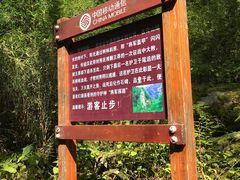 -青峰峡国家森林公园