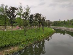 -眉山湿地公园(东坡区)