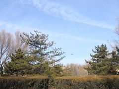 -朝阳公园游乐园