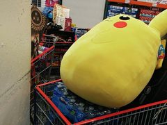 -costco(expo boulevard)