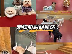 -和它·交个朋友·狗咖猫咖(爱琴海店)