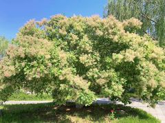 -济南国际园博园