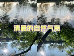 -八卦田遗址公园